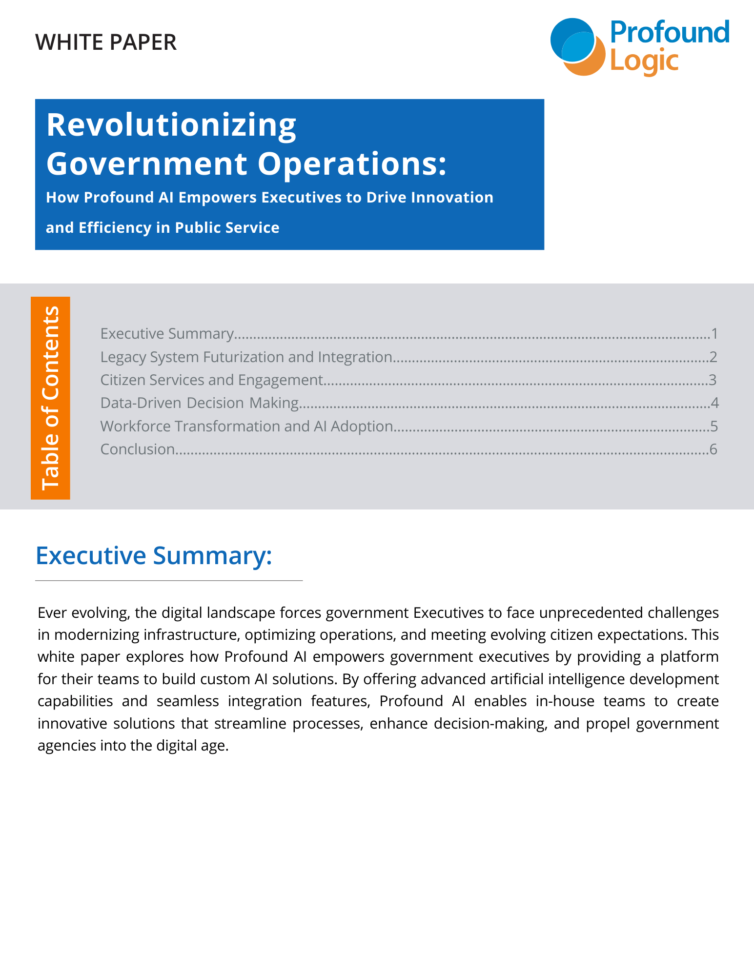 White Paper Profound AI CEO Government