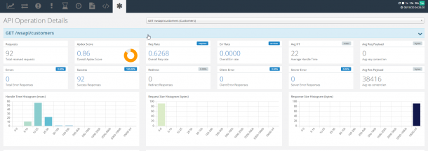 API Dashboard Large – Profound Logic